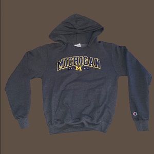 Vintage Michigan University Hoodie